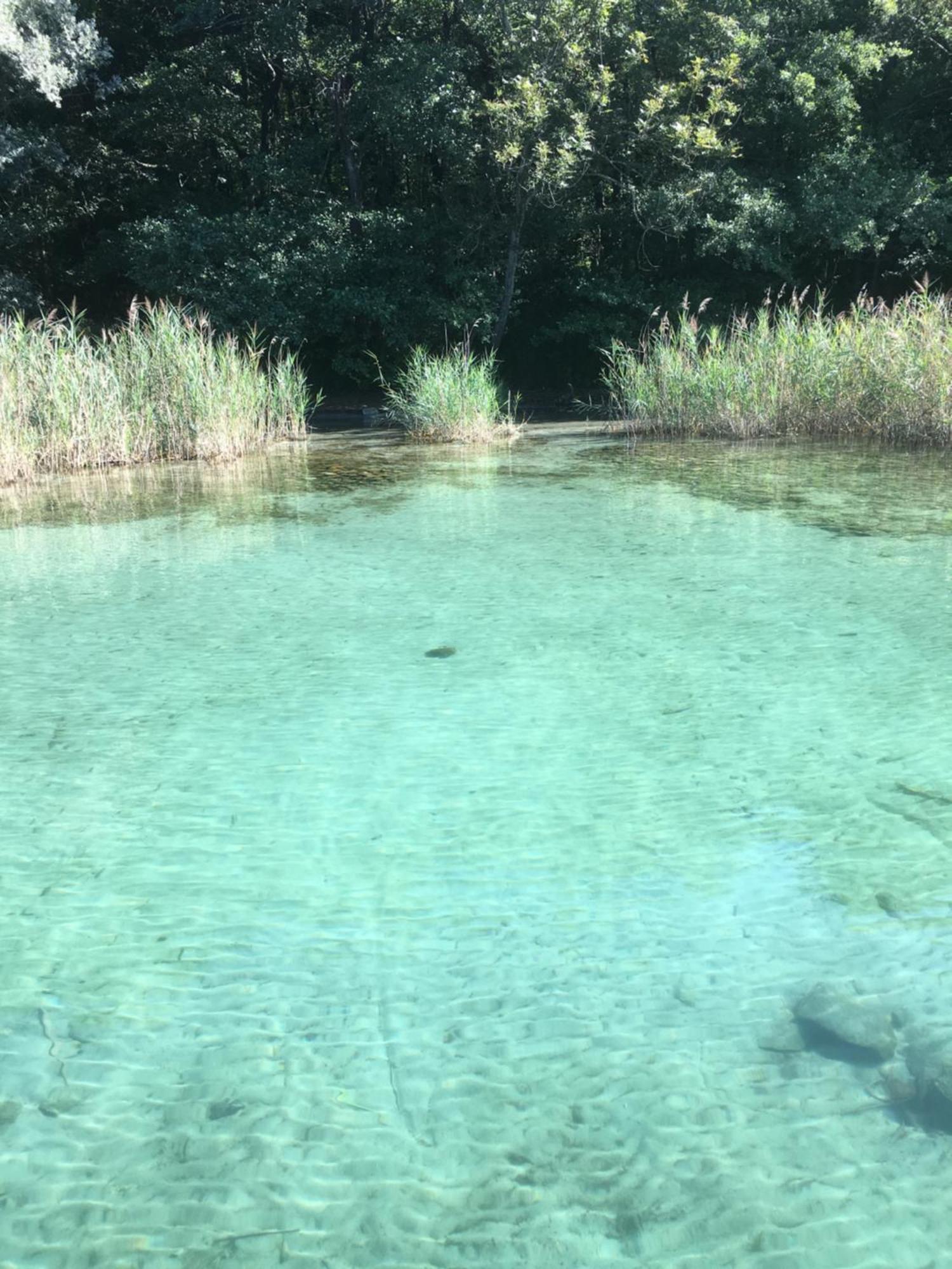 -Ortaflats- Appartamento l'Isola Orta San Giulio Esterno foto